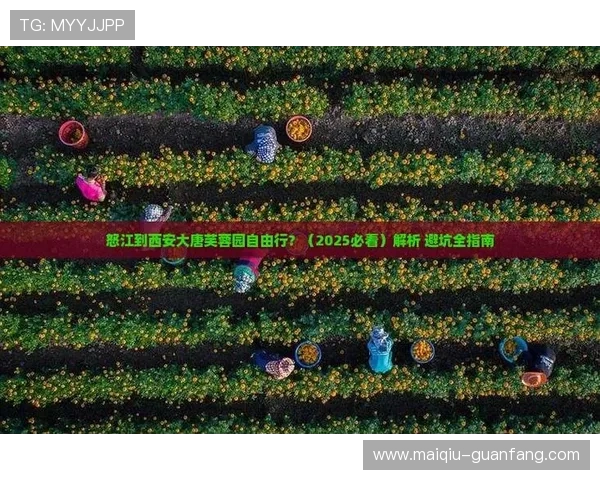 开云官方认证靠谱吗彩票数字高频玩法防骗避坑指南